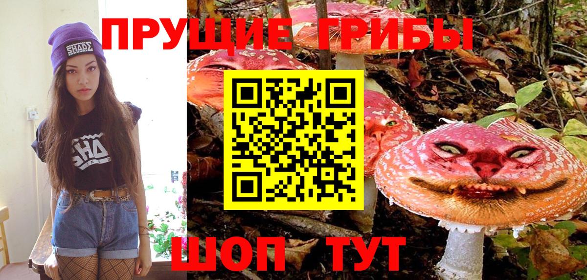 Галлюциногенные грибы Cubensis  Вход с VPN  Домодедово 