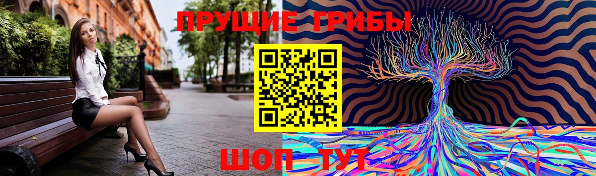 Галлюциногенные грибы GOLDEN TEACHER Домодедово