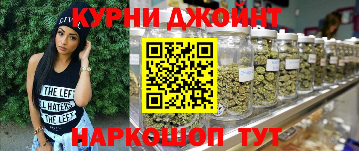 Бошки Шишки план Домодедово